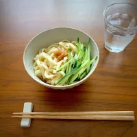 Snapdishの料理写真:さっぱり梅うどん|marukoさん