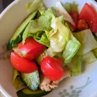 Snapdishの料理写真:シャカシャカサラダ🥗|ひろポっちさん