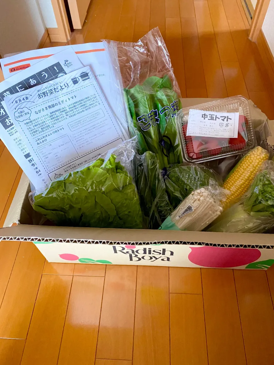 Snapdishの料理写真:旬を楽しむ夏野菜　『らでぃっしゅぼーや』パレット♡届きました|naho_nonaさん