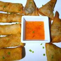 Samosa|Lizhungerさん