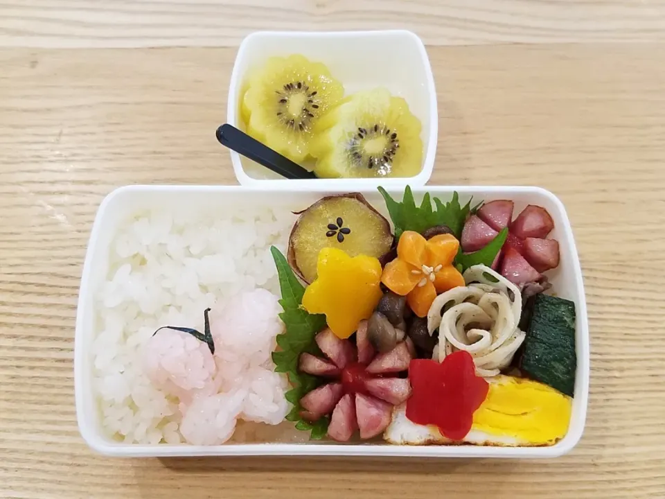 幼稚園弁当|ひんひさん