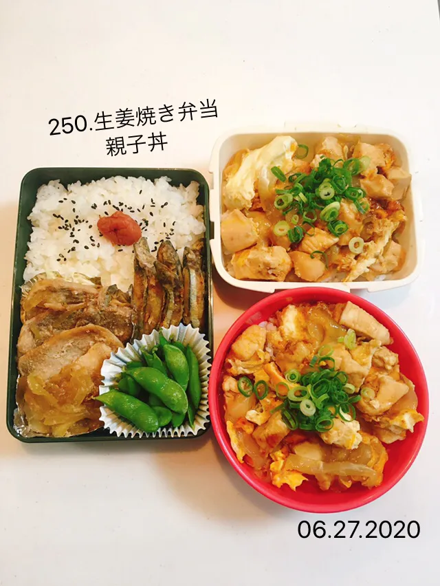 250.生姜焼き弁当、親子丼#中学男子弁当#主人弁当|saya0125さん