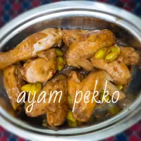 Ayam Pekko|Lina Faisalさん