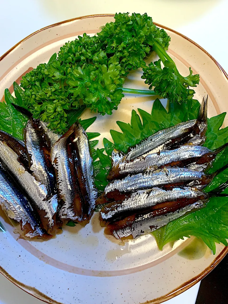 カタクチイワシ醤油漬け|心に七つの傷の男さん