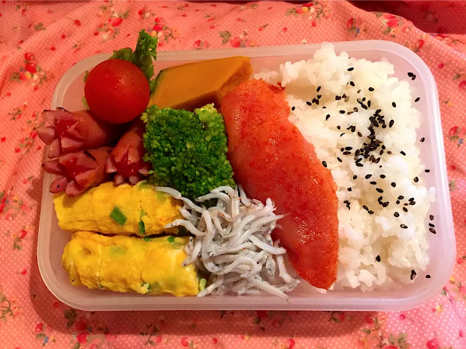 旦那お弁当🍱2020/06/28|Kodomo Cookingさん