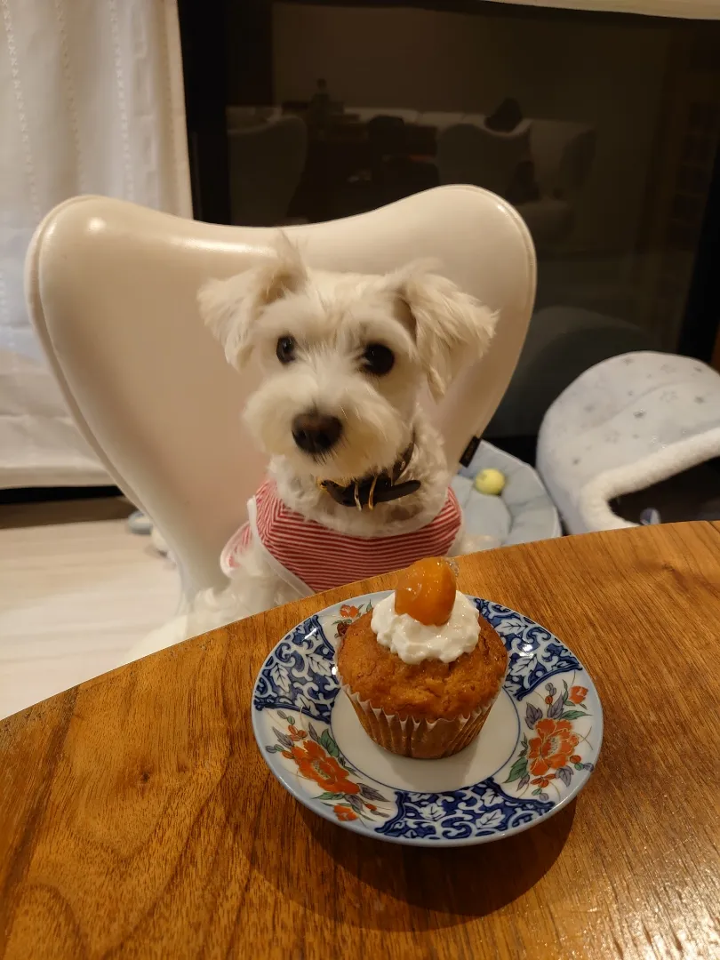 杏子 5歳の誕生日にバナナケーキ さくらんぼ乗せ〜(⁎˃ᴗ˂⁎)♡|Ikuyo Hasegawaさん