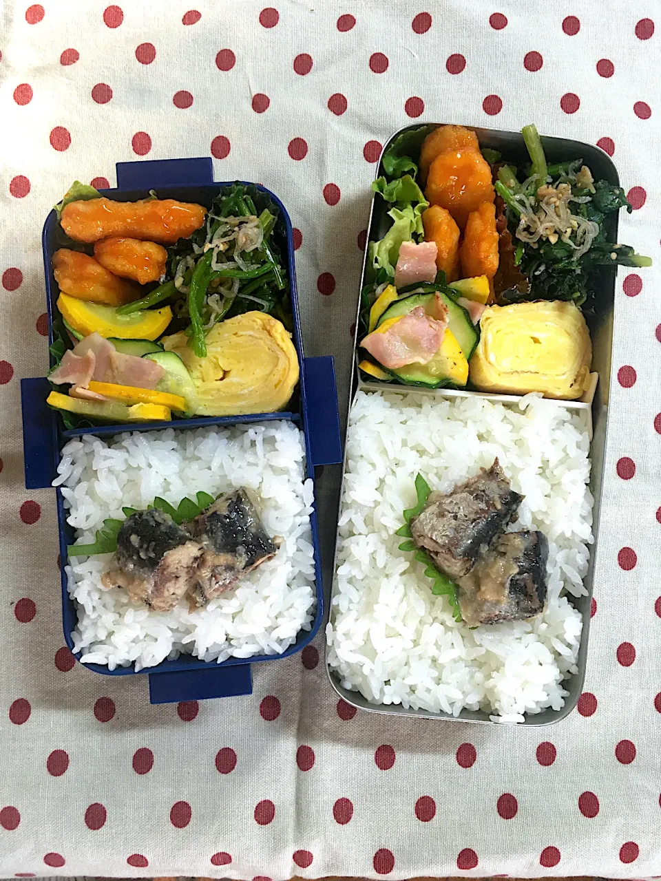 Snapdishの料理写真:6月29日　週の始まり弁当🍱|sakuramochiさん