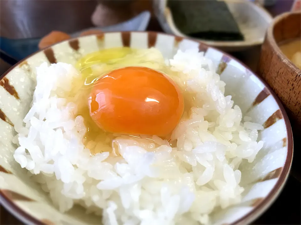 たまごかけご飯|ちっきーさん