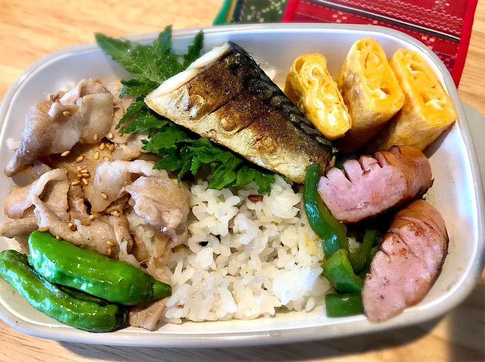 サラ弁　　　　　　　　　　　　　　　　　豚バラとシシトウの甘辛煮　塩サバ　卵焼き|じゅんさんさん