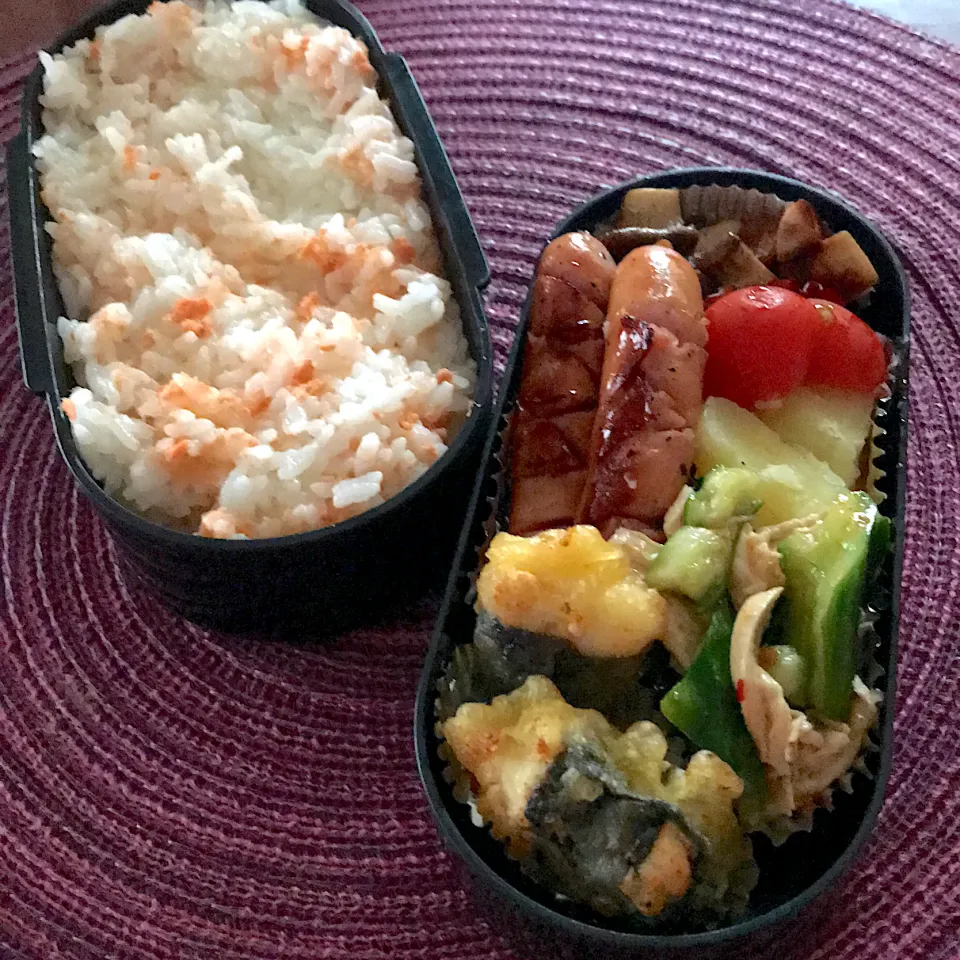 今日のお弁当🍱|mokoさん