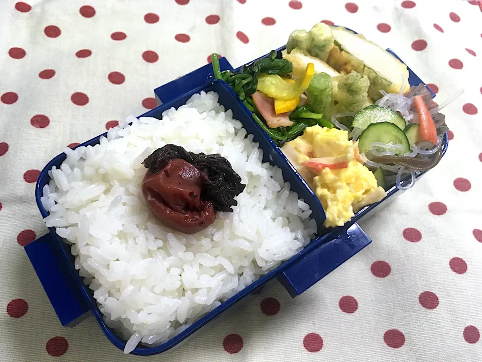 Snapdishの料理写真:6月30日　2020前半終了弁当🍱|sakuramochiさん