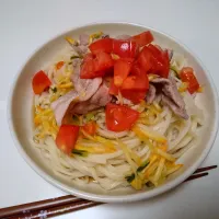 夏野菜のサラダうどん|ディ415号さん