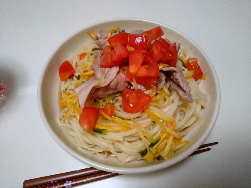 夏野菜のサラダうどん|ディ415号さん