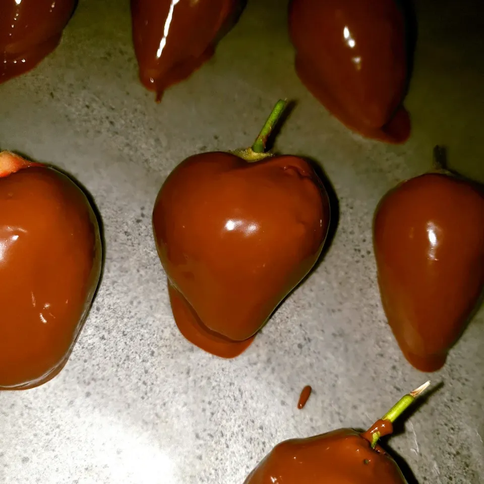 chocolate covered strawberries|Suraysha Pather-Naikerさん