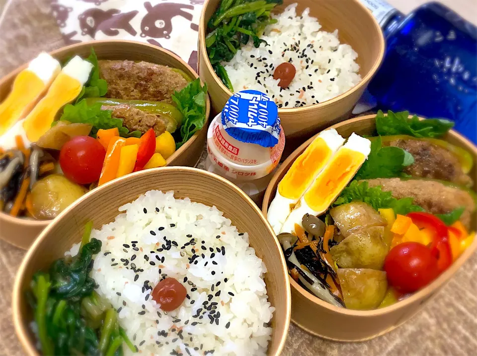 Snapdishの料理写真:今日の夫婦弁⁽⁽ ◟(灬 ˊωˋ 灬)◞ ⁾⁾💕|桃実さん