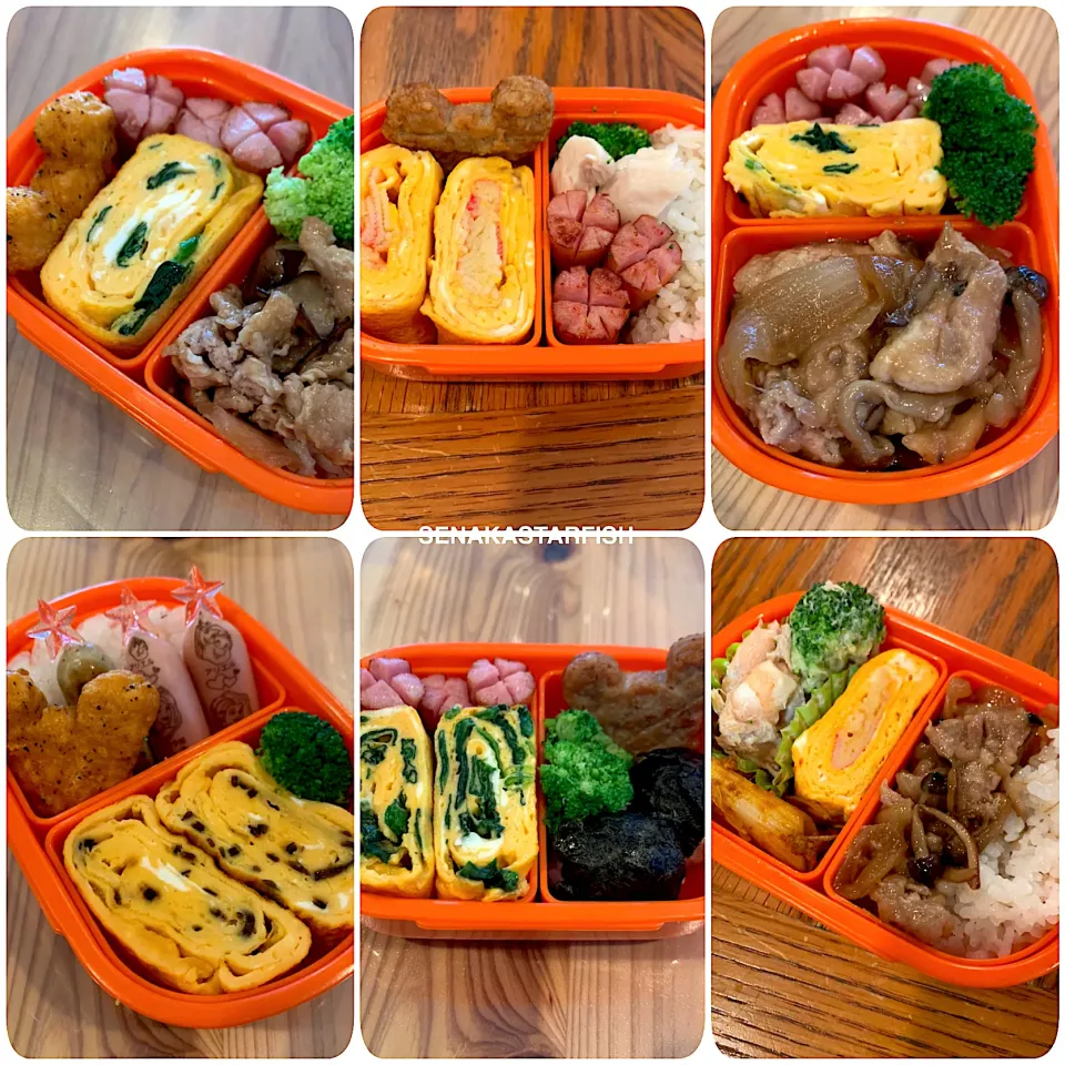 幼稚園のお弁当|愛さん