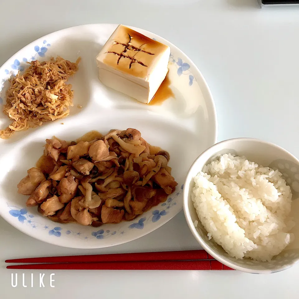 お昼ご飯|まめさん