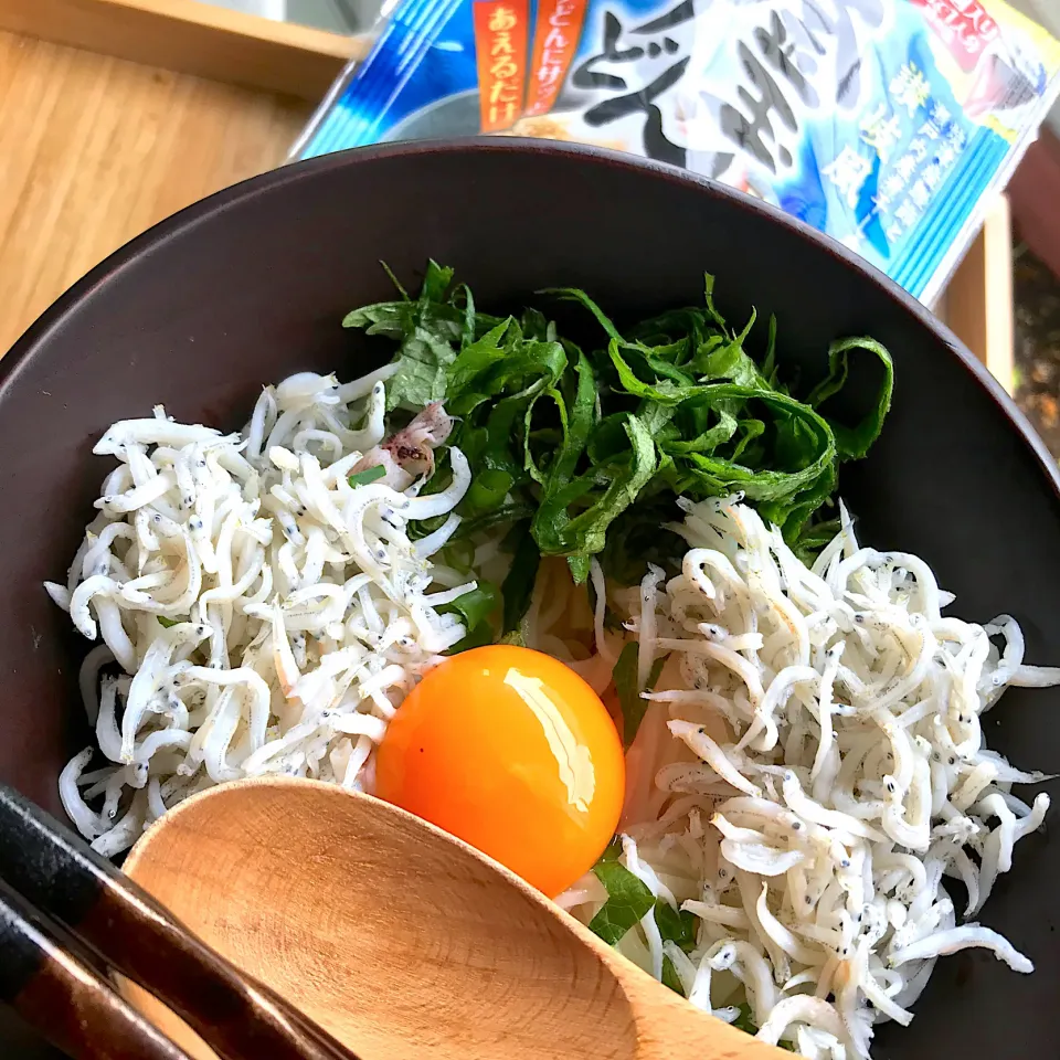 Snapdishの料理写真:遅めのお昼は釜揚げしらす釜揚げうどんの素で|シュトママさん