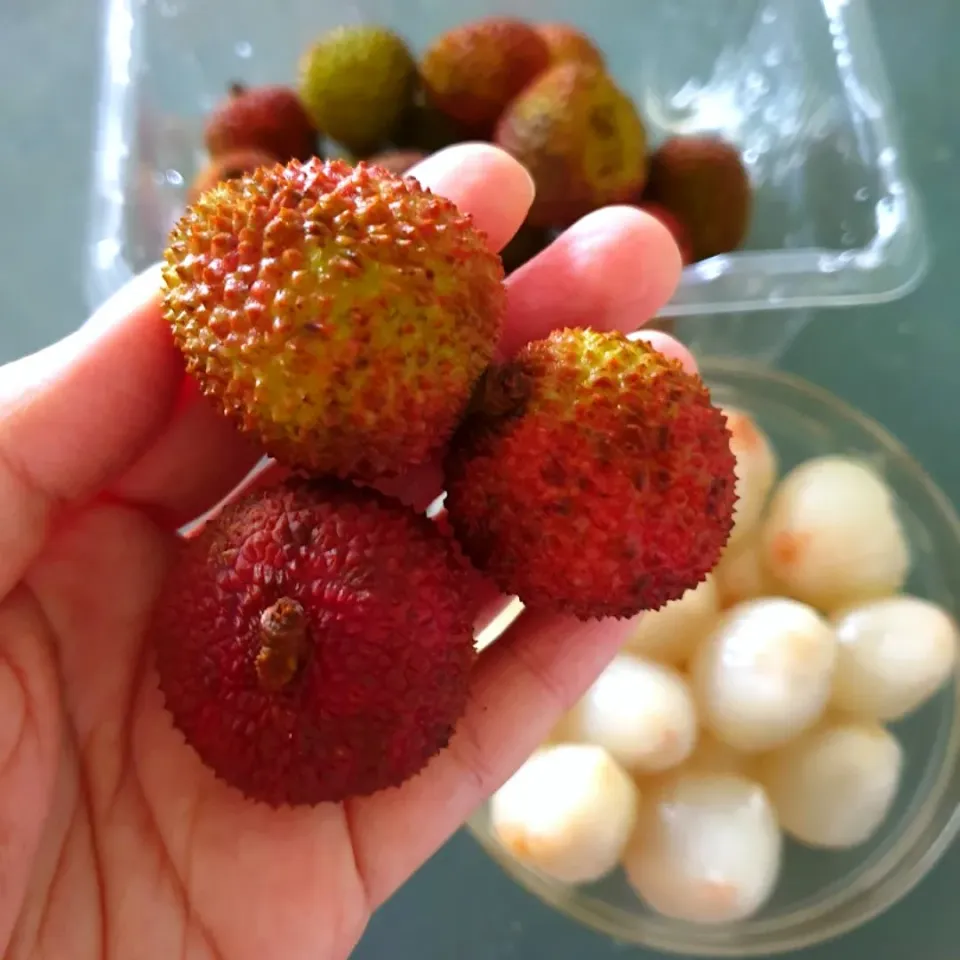 Favourite Fruits @ Lychee|envymaqueenさん