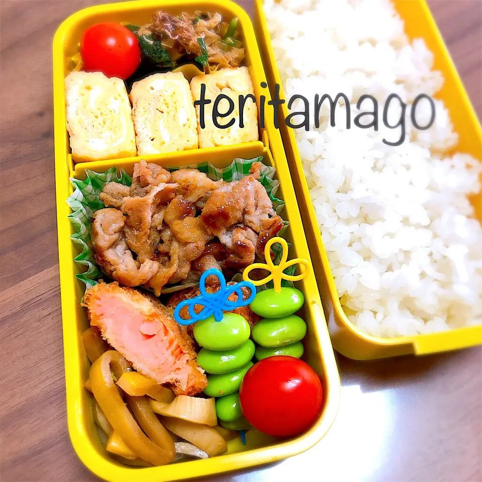 お弁当|teritamagoさん