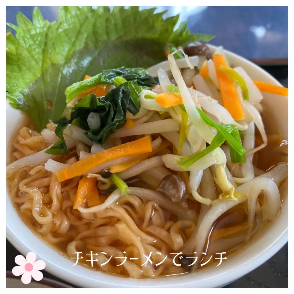 チキンラーメンでランチ|いのっちさん