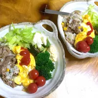 Snapdishの料理写真:牛肉混ぜご飯のオムレツのせ|mi♪さん