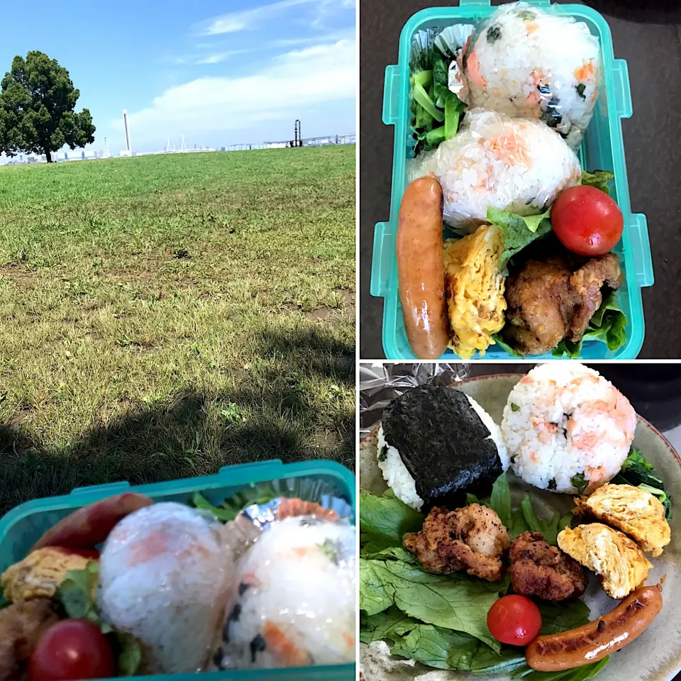 Snapdishの料理写真:おにぎり弁当🍱🍙|純さん