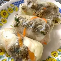 beef vietnamese roll|Septiya Dewi Eddyさん