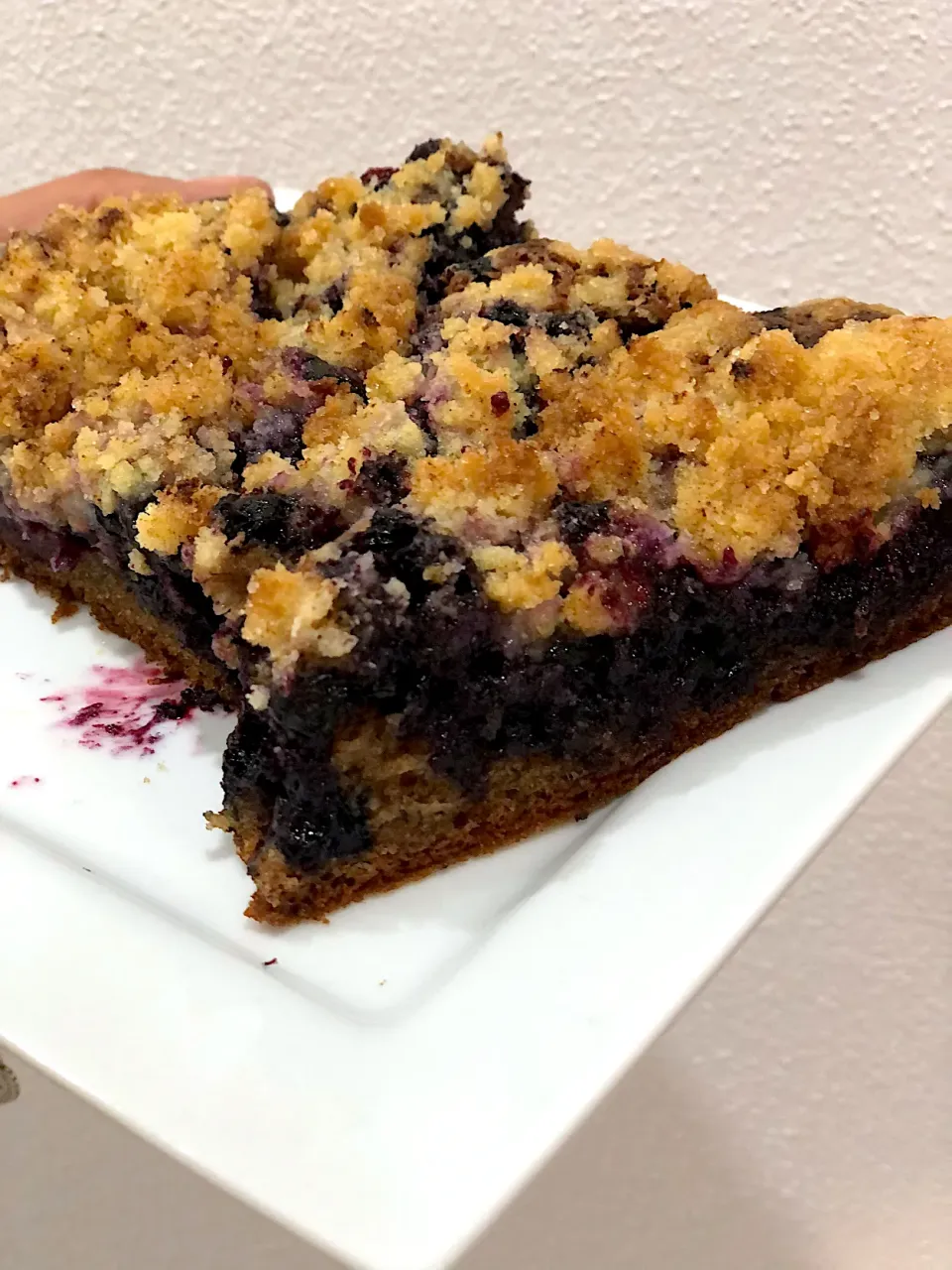 Blueberry cake Boruvkovy kolac|LucieFoodさん