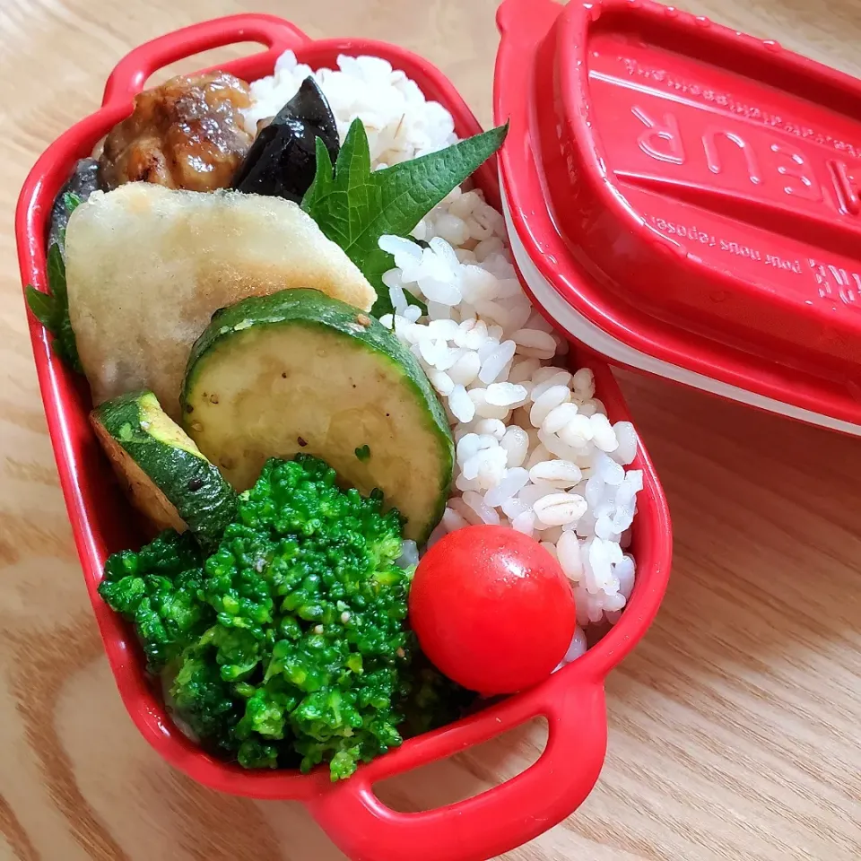 今日のお弁当～寝坊したときの方が集中できていい詰め合わせになる🤭|Maho Sanoさん