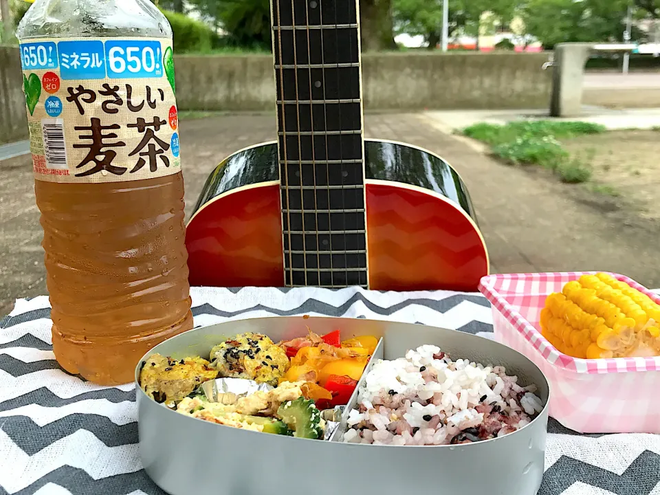 Snapdishの料理写真:ゴーヤチャンプルー弁当|Tak@さん