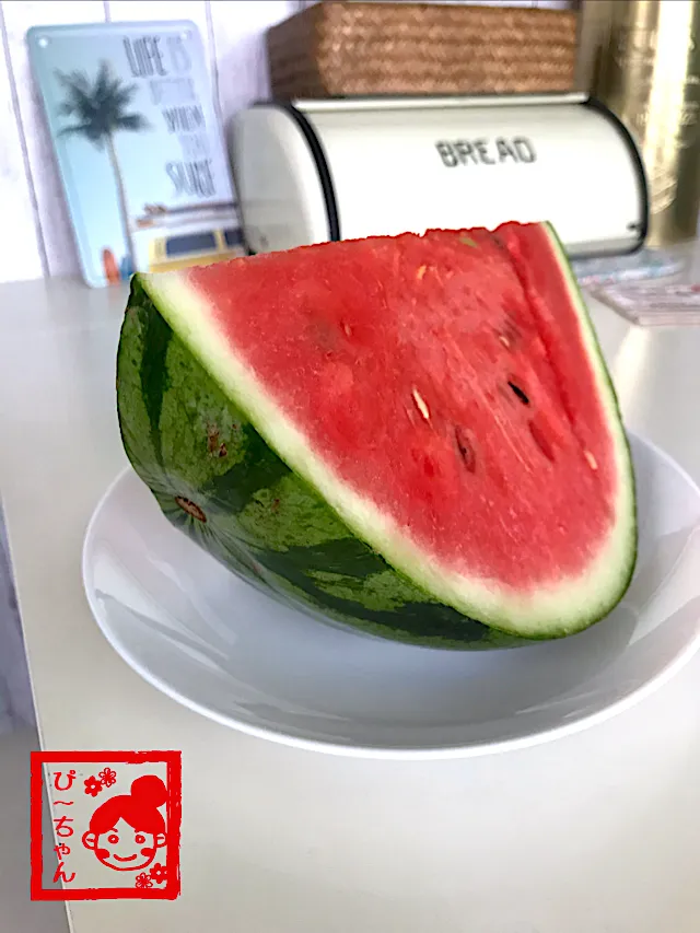 志村食べ🍉するには厚すぎ‼️次女のおやつスイカ🍉🤣|☆ぴ〜ちゃん☆さん