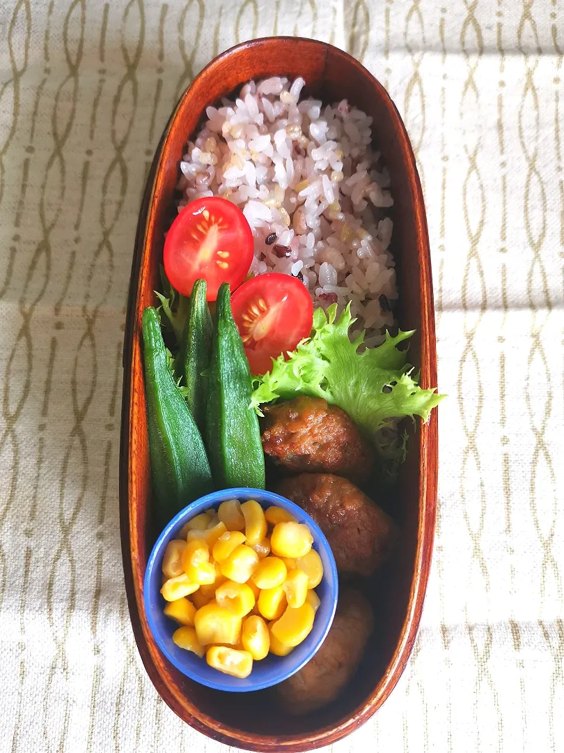 2020.7.3〜ハンバーグ弁当|気まぐれぶるるさん