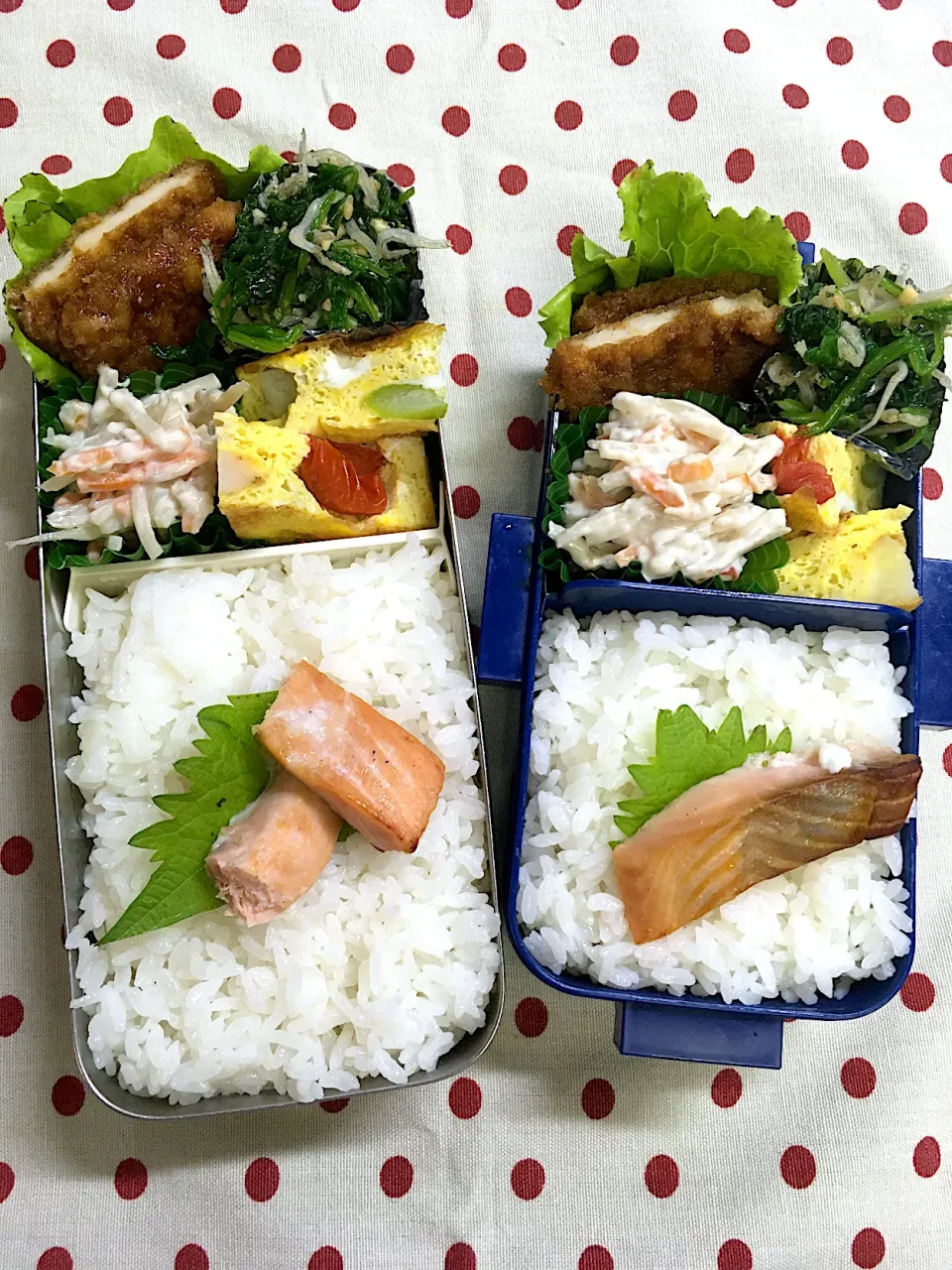 Snapdishの料理写真:7月6日　梅雨本番弁当🍱|sakuramochiさん