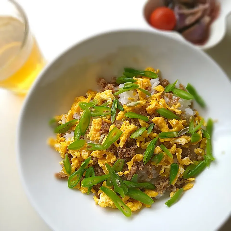 昼ごはん
最初から混ぜ混ぜ三色丼|まめころさん