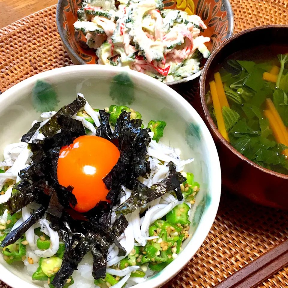 オクラとシラスの丼|トッチーさん