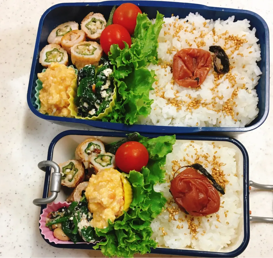 今日のお仕事＆学校弁当♪2020.7.7|ぐぅさん