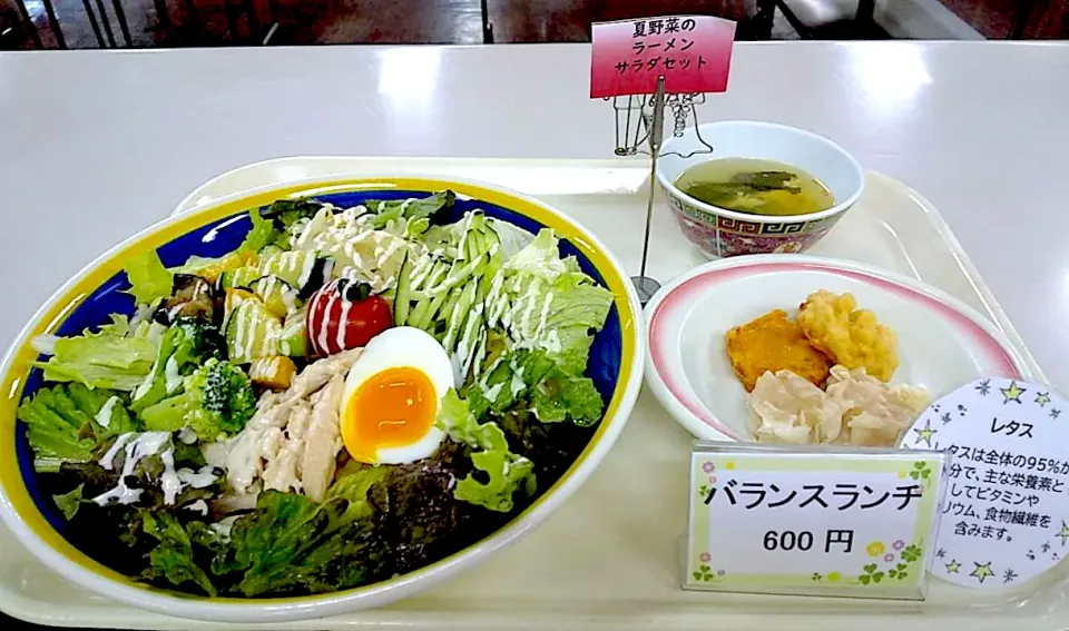 夏野菜フェア　夏野菜の冷やしラーメンセット|nyama1さん