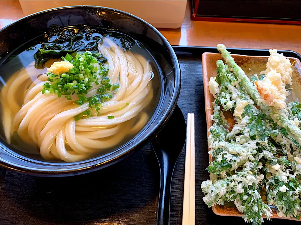 かばと製麺所　冷やかけうどん　アスパラ、春菊、海老天|すずきさん