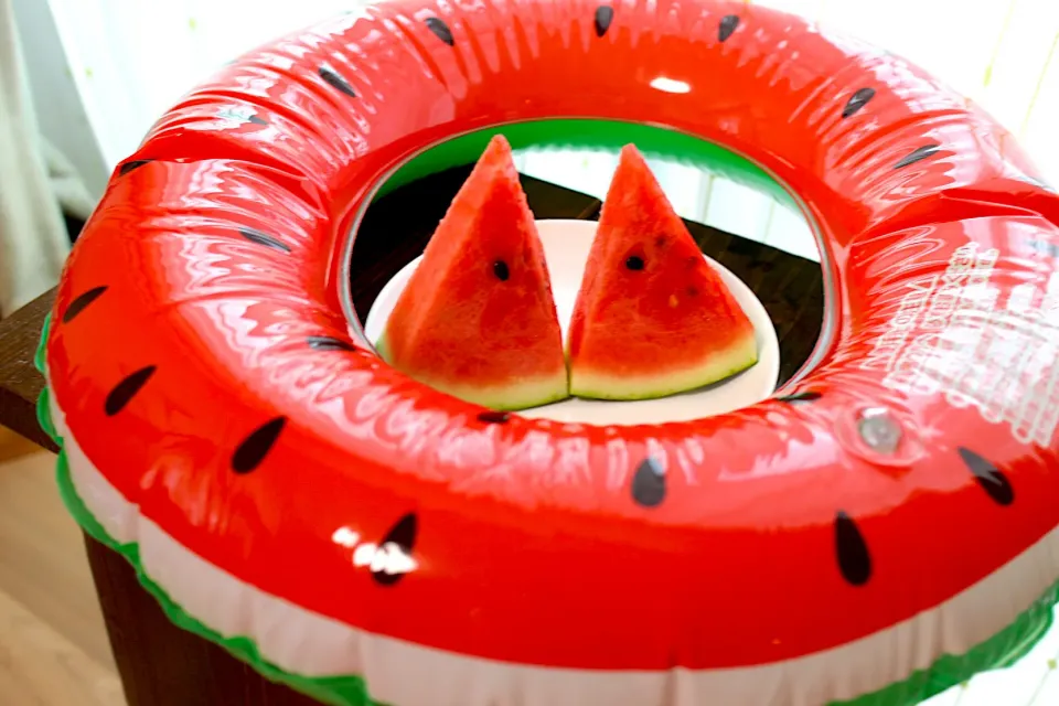 スイカ食べたよ|papion7tさん