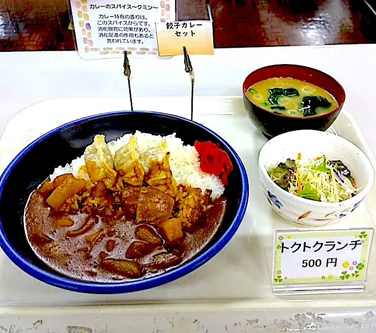 餃子カレーセット|nyama1さん