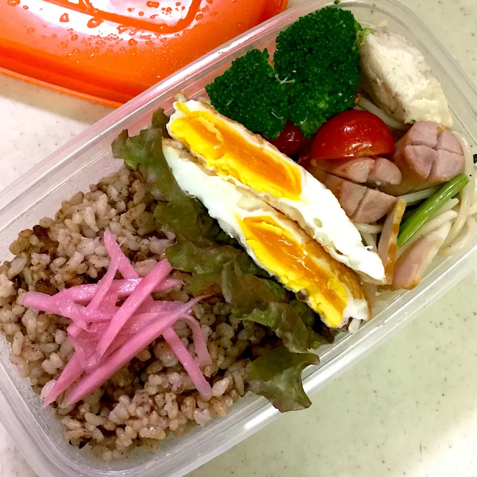 Today's lunch box|hoppycowさん