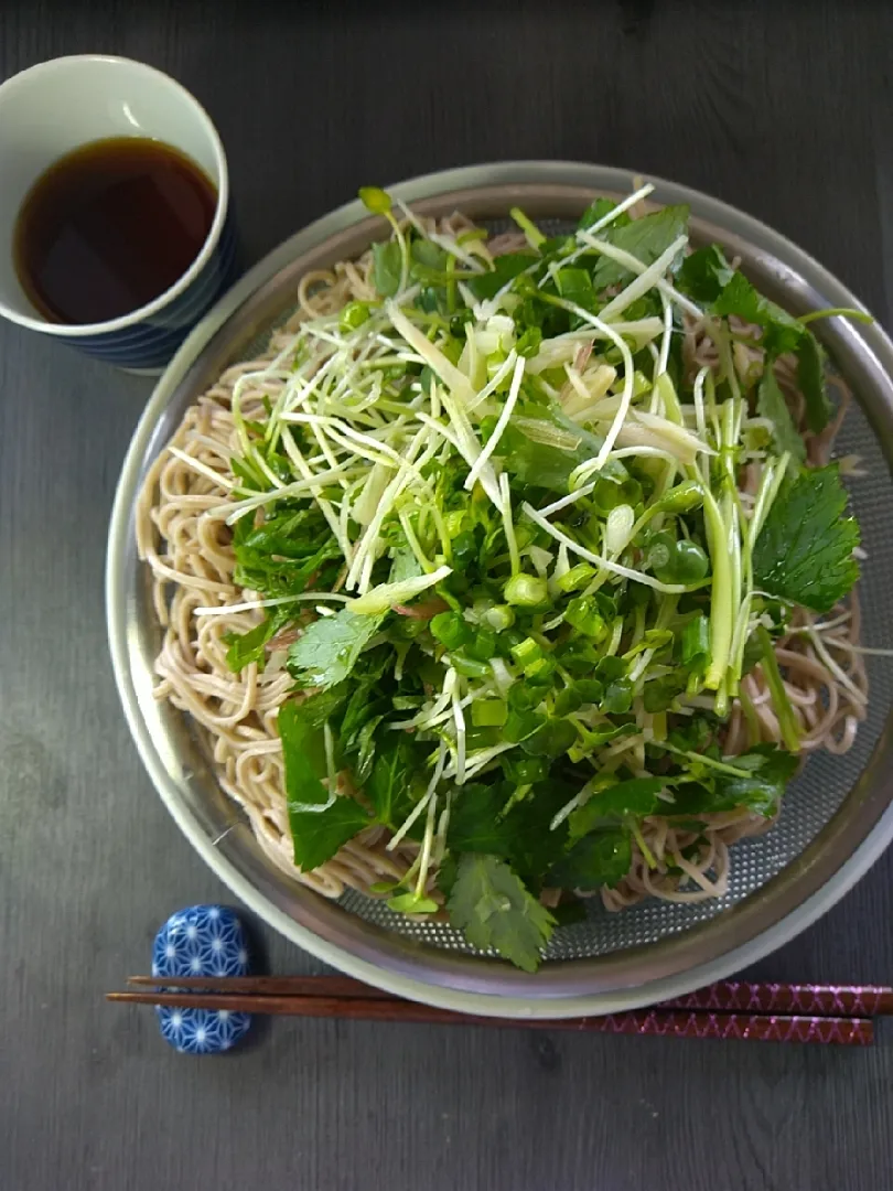 Snapdishの料理写真:夏の香味野菜そば|ハイドランジアさん