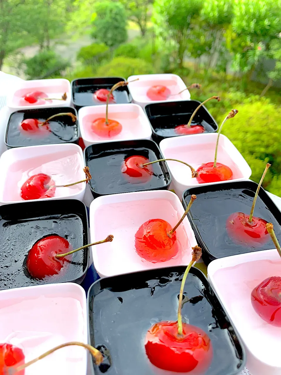 さくらんぼ🍒ゼリーの行進🍒|シュトママさん