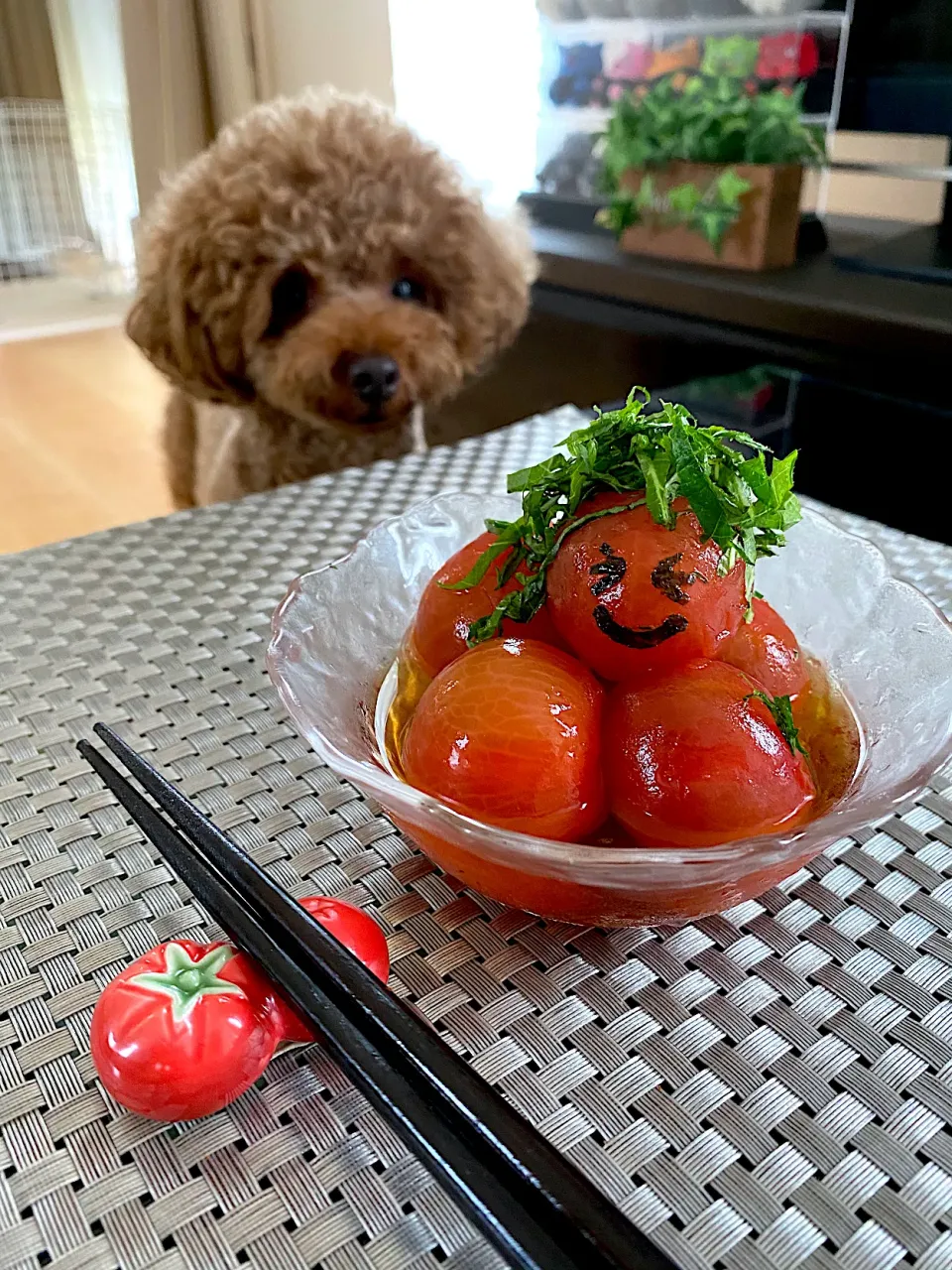 Snapdishの料理写真:ミディトマトのお浸し🍅|ゆかりさん