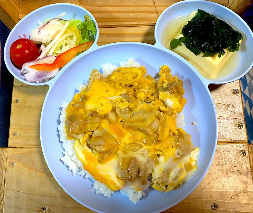 DK10#親子丼|DUNK.NDさん