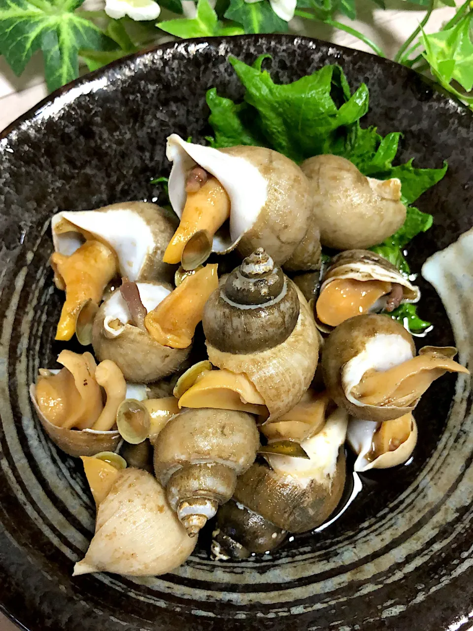 Snapdishの料理写真:ばい貝の煮付け🐚|みゆきさん