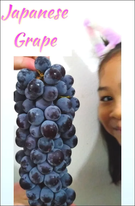 Japanese Grape|Harlina  (Malaysia)さん