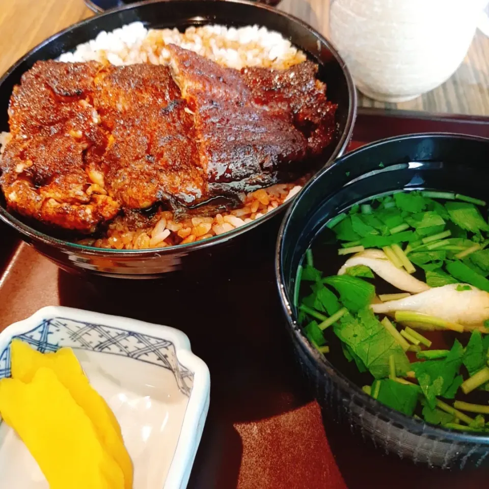 Snapdishの料理写真:昼にうな丼を食べに三重まで行きました。
なんと１３２０円|マイキーさん