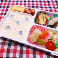 娘用お弁当|かか様さん